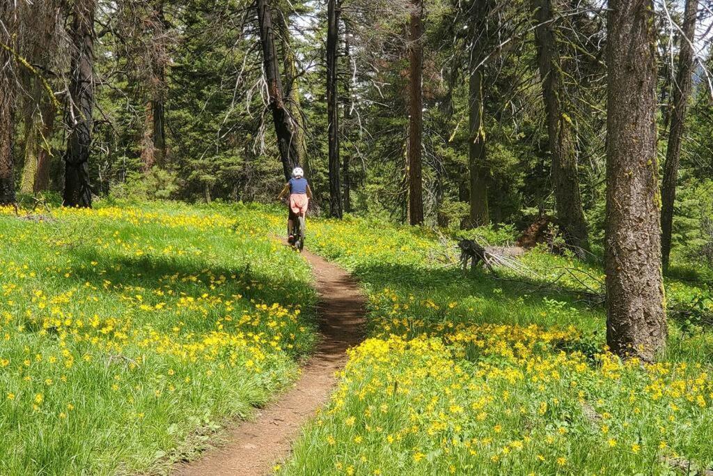 Mccall Mountain Getaway - Pet Friendly Ngoại thất bức ảnh